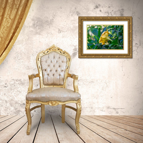 Golden Cup flower Gold Ornate Wood Framed Art Print with Double Matting by Engelbrecht, Lisa S.