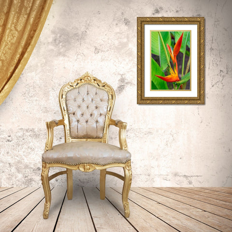 Heliconia Gold Ornate Wood Framed Art Print with Double Matting by Engelbrecht, Lisa S.