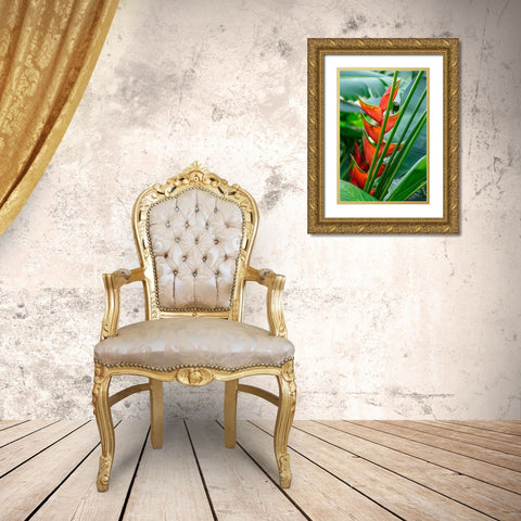 Heliconia Gold Ornate Wood Framed Art Print with Double Matting by Engelbrecht, Lisa S.