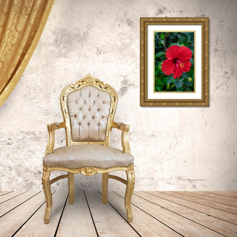 Hibiscus Gold Ornate Wood Framed Art Print with Double Matting by Engelbrecht, Lisa S.