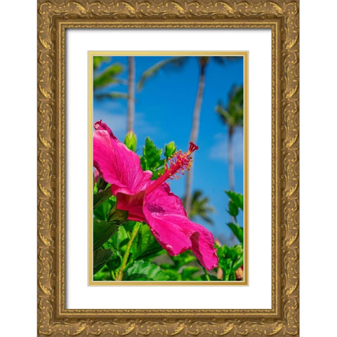 Hibiscus Gold Ornate Wood Framed Art Print with Double Matting by Engelbrecht, Lisa S.