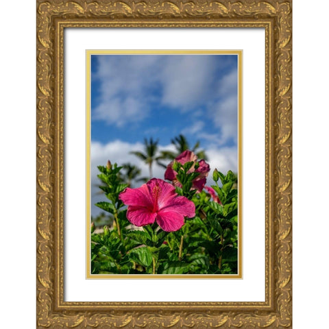 Hibiscus Gold Ornate Wood Framed Art Print with Double Matting by Engelbrecht, Lisa S.