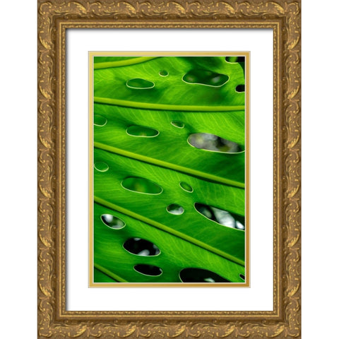 Hurricane Plant Gold Ornate Wood Framed Art Print with Double Matting by Engelbrecht, Lisa S.
