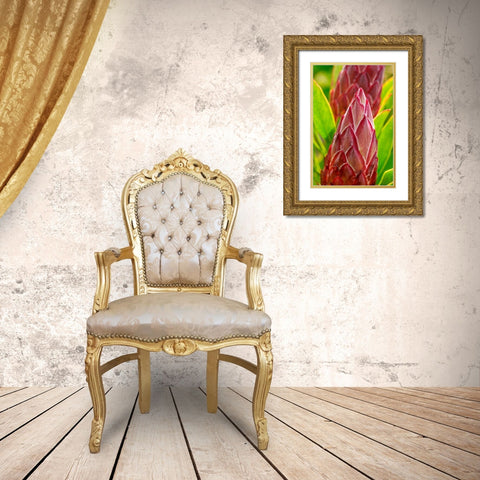 King Protea flower Gold Ornate Wood Framed Art Print with Double Matting by Engelbrecht, Lisa S.