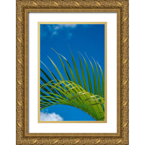 Palm frond Gold Ornate Wood Framed Art Print with Double Matting by Engelbrecht, Lisa S.