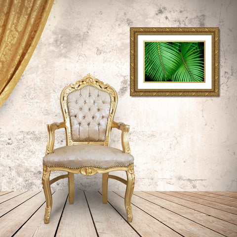 Palm fronds Gold Ornate Wood Framed Art Print with Double Matting by Engelbrecht, Lisa S.