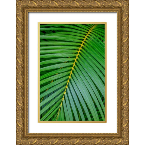 Palm fronds Gold Ornate Wood Framed Art Print with Double Matting by Engelbrecht, Lisa S.