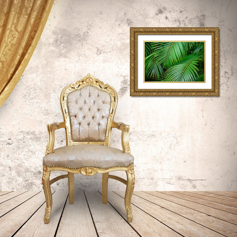Palm fronds Gold Ornate Wood Framed Art Print with Double Matting by Engelbrecht, Lisa S.