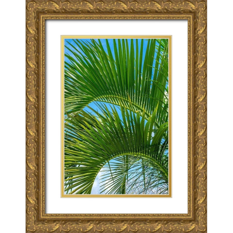 Palm fronds Gold Ornate Wood Framed Art Print with Double Matting by Engelbrecht, Lisa S.