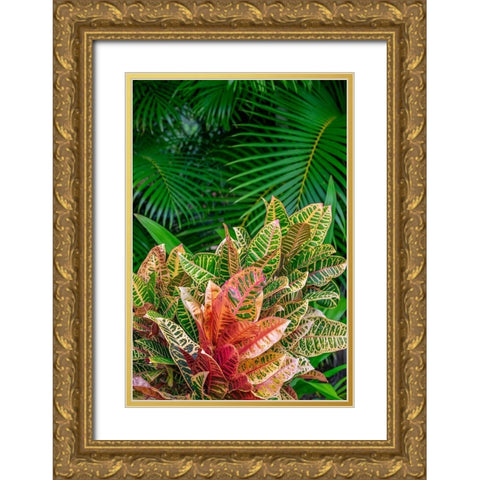 Palm fronds and Croton plants Gold Ornate Wood Framed Art Print with Double Matting by Engelbrecht, Lisa S.