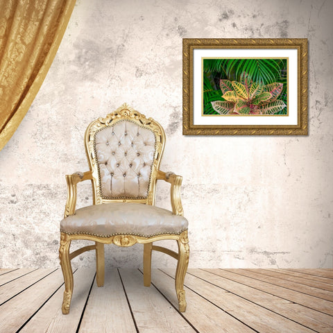 Palm fronds and Croton plants Gold Ornate Wood Framed Art Print with Double Matting by Engelbrecht, Lisa S.