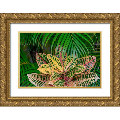 Palm fronds and Croton plants Gold Ornate Wood Framed Art Print with Double Matting by Engelbrecht, Lisa S.