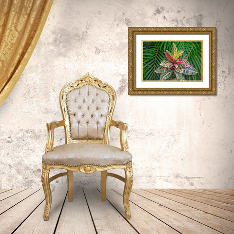 Palm fronds and Croton plants Gold Ornate Wood Framed Art Print with Double Matting by Engelbrecht, Lisa S.