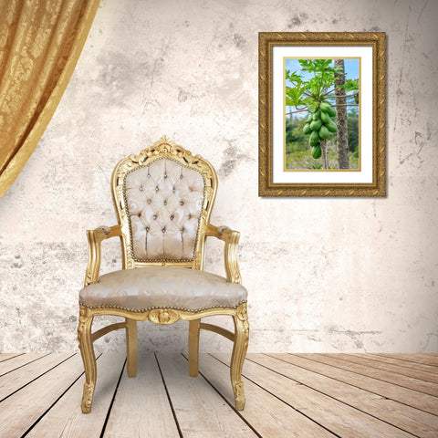 Papaya tree Gold Ornate Wood Framed Art Print with Double Matting by Engelbrecht, Lisa S.