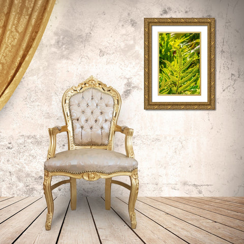 Phymatosorus grossus-Musk Fern Gold Ornate Wood Framed Art Print with Double Matting by Engelbrecht, Lisa S.