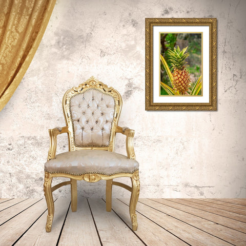 Pineapple plant Gold Ornate Wood Framed Art Print with Double Matting by Engelbrecht, Lisa S.