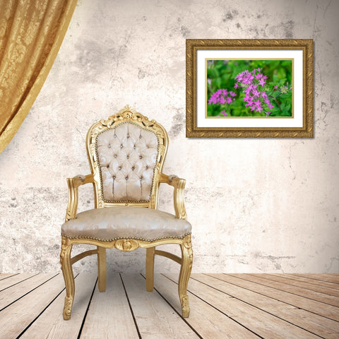 Pink Pentas Gold Ornate Wood Framed Art Print with Double Matting by Engelbrecht, Lisa S.