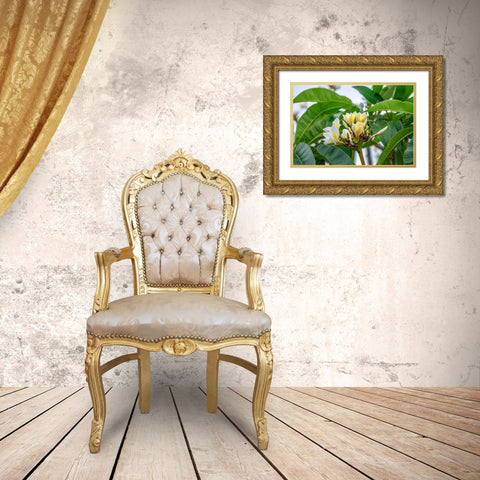 Plumeria Gold Ornate Wood Framed Art Print with Double Matting by Engelbrecht, Lisa S.