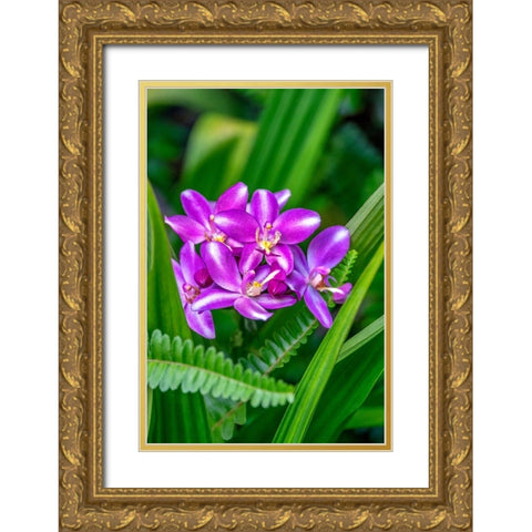 Purple orchid Gold Ornate Wood Framed Art Print with Double Matting by Engelbrecht, Lisa S.