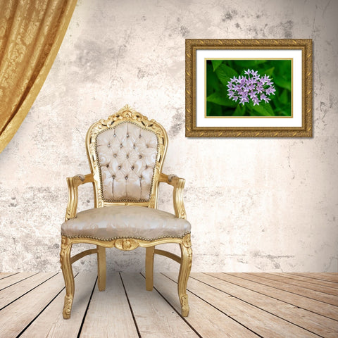 Purple Penta flower Gold Ornate Wood Framed Art Print with Double Matting by Engelbrecht, Lisa S.