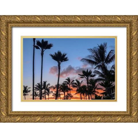 Tropical sunset Gold Ornate Wood Framed Art Print with Double Matting by Engelbrecht, Lisa S.