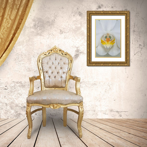 White Orchid Gold Ornate Wood Framed Art Print with Double Matting by Engelbrecht, Lisa S.