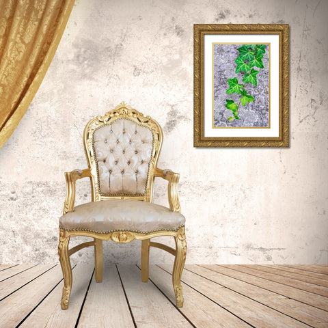 Ivy growing on granite Gold Ornate Wood Framed Art Print with Double Matting by Engelbrecht, Lisa S.