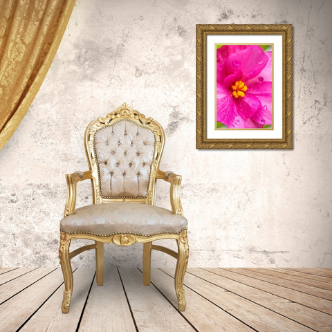 Pink Begonia Gold Ornate Wood Framed Art Print with Double Matting by Engelbrecht, Lisa S.