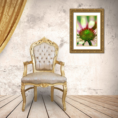 Coneflower Gold Ornate Wood Framed Art Print with Double Matting by Engelbrecht, Lisa S.