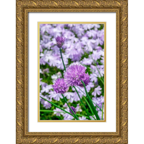 Creeping Phlox and chives Gold Ornate Wood Framed Art Print with Double Matting by Engelbrecht, Lisa S.