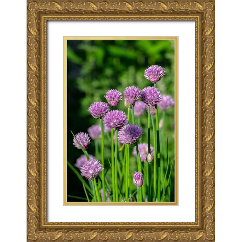 Chives Gold Ornate Wood Framed Art Print with Double Matting by Engelbrecht, Lisa S.