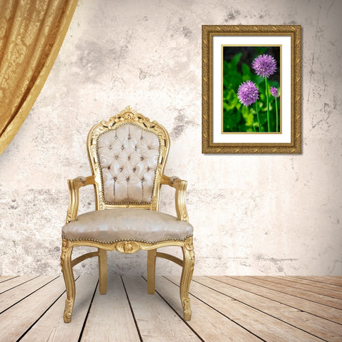 Chives Gold Ornate Wood Framed Art Print with Double Matting by Engelbrecht, Lisa S.