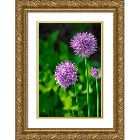 Chives Gold Ornate Wood Framed Art Print with Double Matting by Engelbrecht, Lisa S.