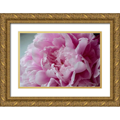 Pink Peony Gold Ornate Wood Framed Art Print with Double Matting by Engelbrecht, Lisa S.