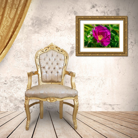 Beach rose Gold Ornate Wood Framed Art Print with Double Matting by Engelbrecht, Lisa S.