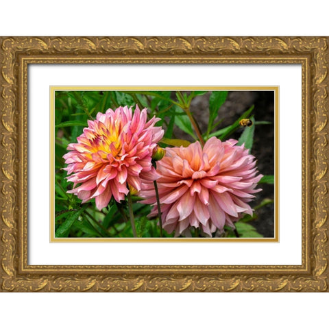 Dahlia Gold Ornate Wood Framed Art Print with Double Matting by Engelbrecht, Lisa S.