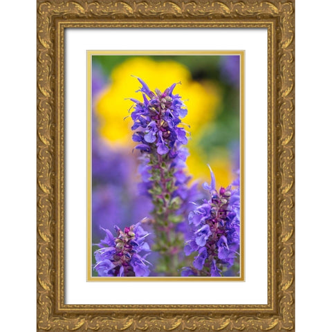 Purple Hyssop Gold Ornate Wood Framed Art Print with Double Matting by Engelbrecht, Lisa S.