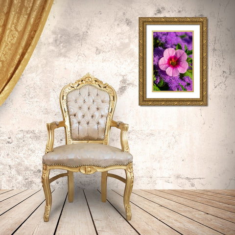 Pink Petunia and purple Bluemink Gold Ornate Wood Framed Art Print with Double Matting by Engelbrecht, Lisa S.