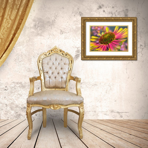 Coneflower Gold Ornate Wood Framed Art Print with Double Matting by Engelbrecht, Lisa S.