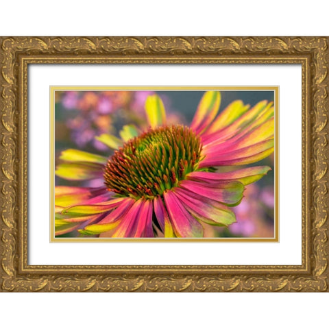 Coneflower Gold Ornate Wood Framed Art Print with Double Matting by Engelbrecht, Lisa S.