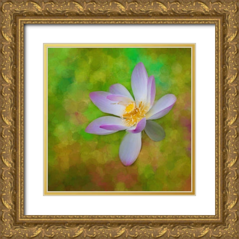 A photo painting of a waterlily Gold Ornate Wood Framed Art Print with Double Matting by Haddad, Sheila