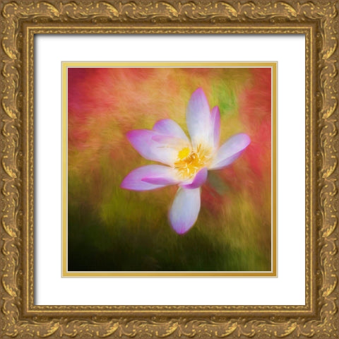 A photo painting of a waterlily Gold Ornate Wood Framed Art Print with Double Matting by Haddad, Sheila