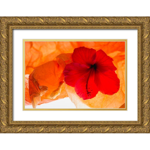 Hibiscus Flower and Tissue Paper with Light Gold Ornate Wood Framed Art Print with Double Matting by Beraldo, Zandina Muench
