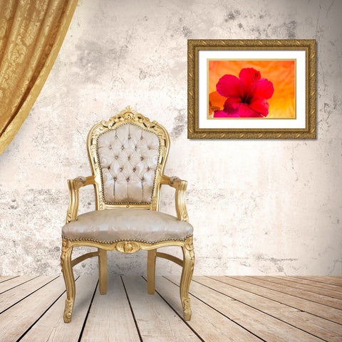 Hibiscus Flower and Tissue Paper with Light Gold Ornate Wood Framed Art Print with Double Matting by Beraldo, Zandina Muench