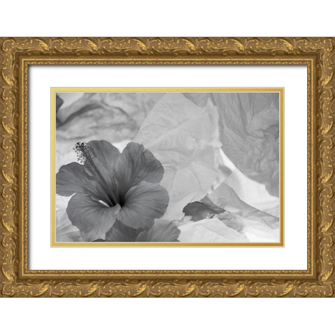 Hibiscus Flower and Tissue Paper with Light Gold Ornate Wood Framed Art Print with Double Matting by Beraldo, Zandina Muench