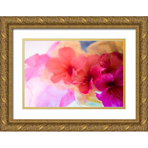 Hibiscus Flower and Tissue Paper with Light Gold Ornate Wood Framed Art Print with Double Matting by Beraldo, Zandina Muench