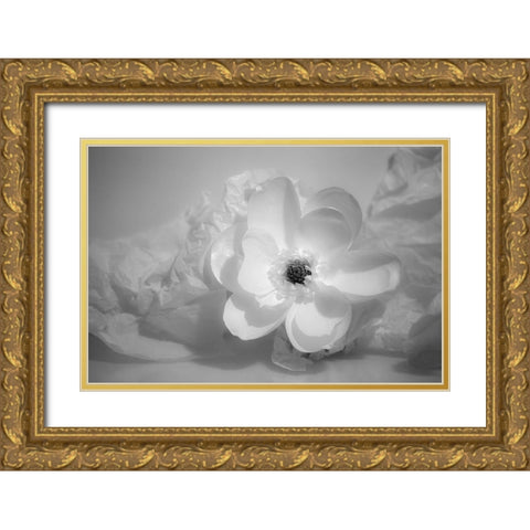 Black and white flower Gold Ornate Wood Framed Art Print with Double Matting by Beraldo, Zandina Muench