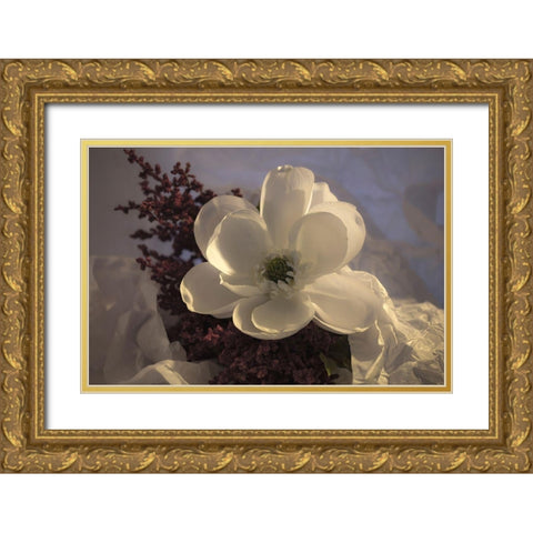 Close-up of flower Gold Ornate Wood Framed Art Print with Double Matting by Beraldo, Zandina Muench