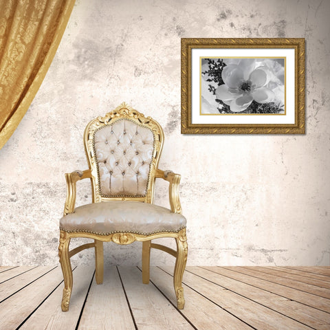 Close-up of flower Gold Ornate Wood Framed Art Print with Double Matting by Beraldo, Zandina Muench