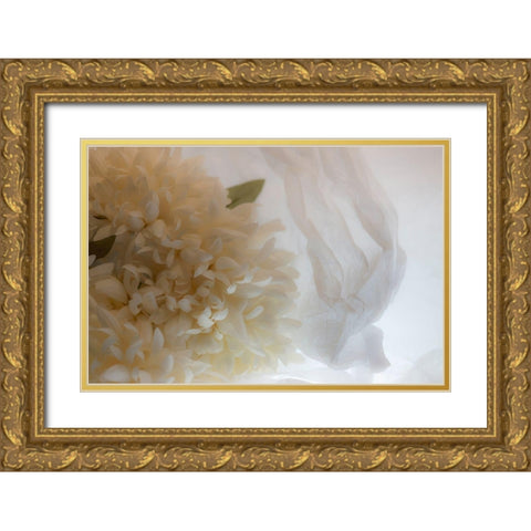 Close-up of flower Gold Ornate Wood Framed Art Print with Double Matting by Beraldo, Zandina Muench